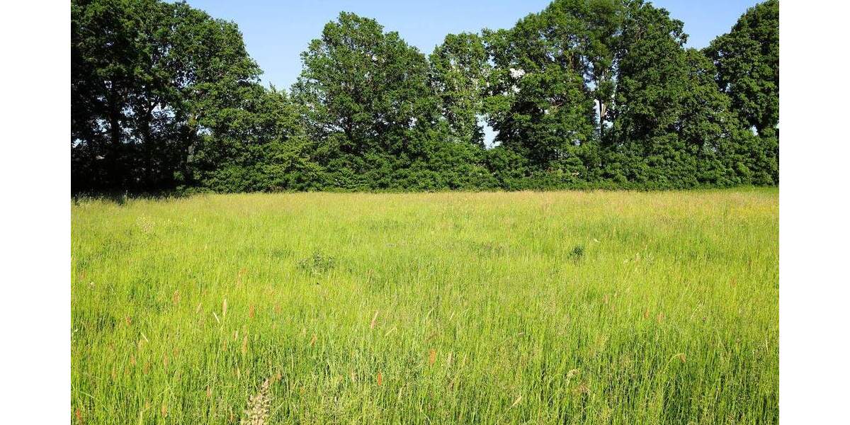 Grundstück Goldkronach Pöllersdorf - 145.000&euro; | Angebot:26842259