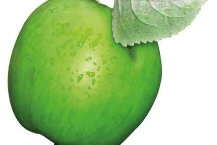 Gewerbeobjekt Bayreuth Laineck - 1 Zimmer, 60 m&sup2;, 85.000&euro; | Angebot:25685900